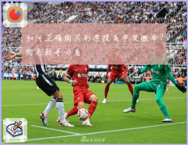 如何正确购买彩票提高中奖概率？购彩新手必看
