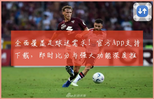 全面覆盖足球迷需求！官方App支持下载，即时比分与强大功能深度推荐