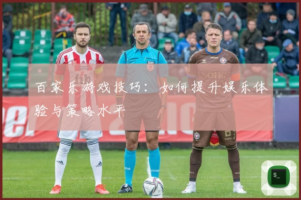 百家乐游戏技巧:如何提升娱乐体验与策略水平