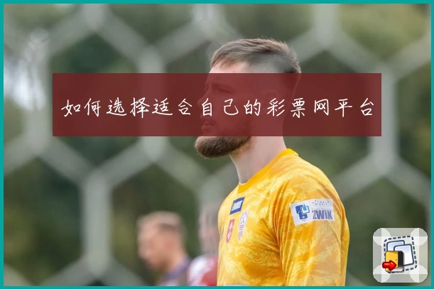 如何选择适合自己的彩票网平台