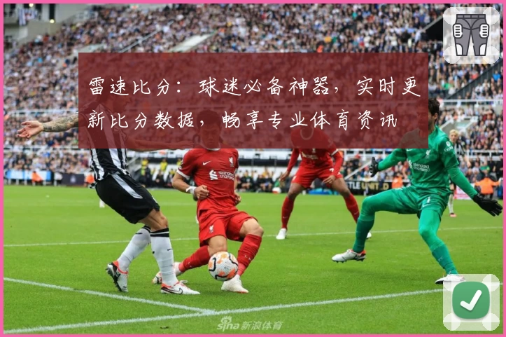 雷速比分：球迷必备神器，实时更新比分数据，畅享专业体育资讯