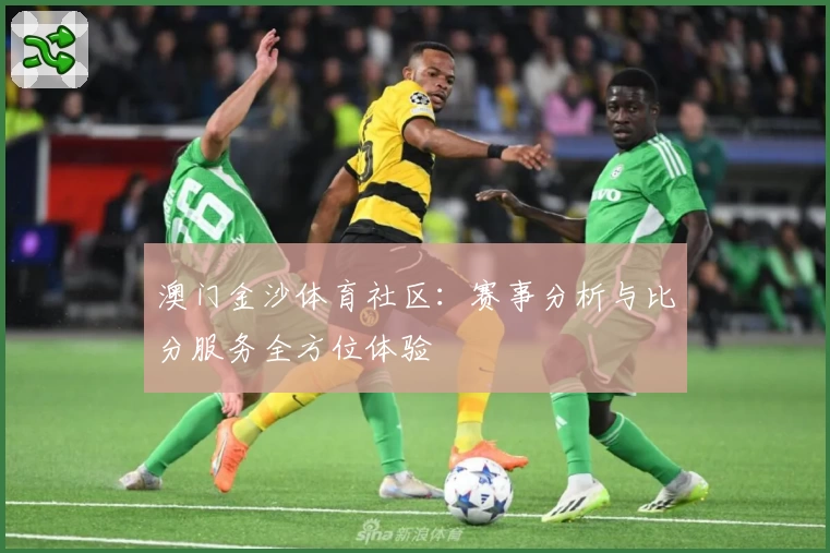 澳门金沙体育社区：赛事分析与比分服务全方位体验