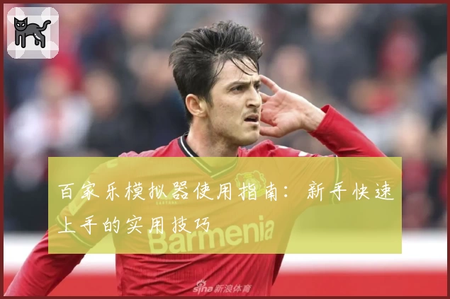 百家乐模拟器使用指南：新手快速上手的实用技巧