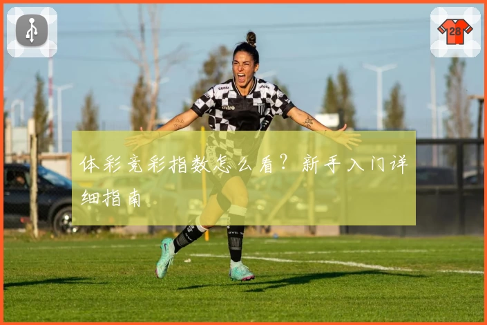 体彩竞彩指数怎么看？新手入门详细指南