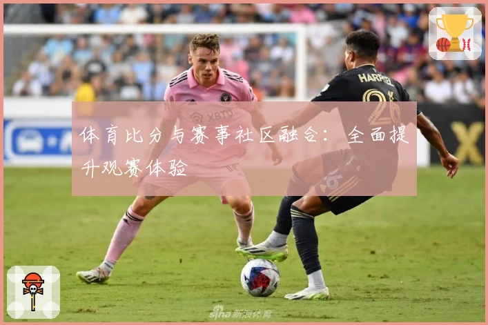 体育比分与赛事社区融合：全面提升观赛体验