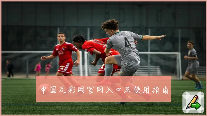 中国足彩网官网入口及使用指南