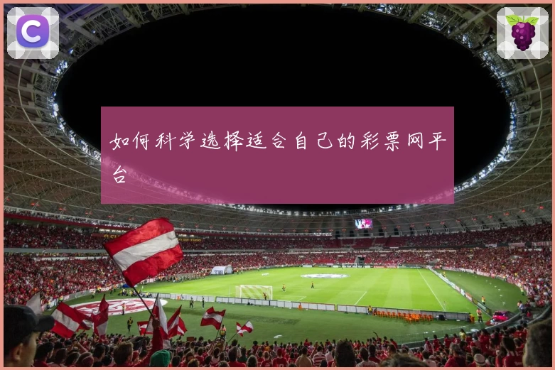 如何科学选择适合自己的彩票网平台