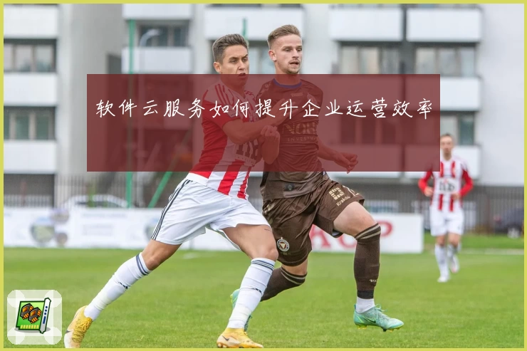 软件云服务如何提升企业运营效率