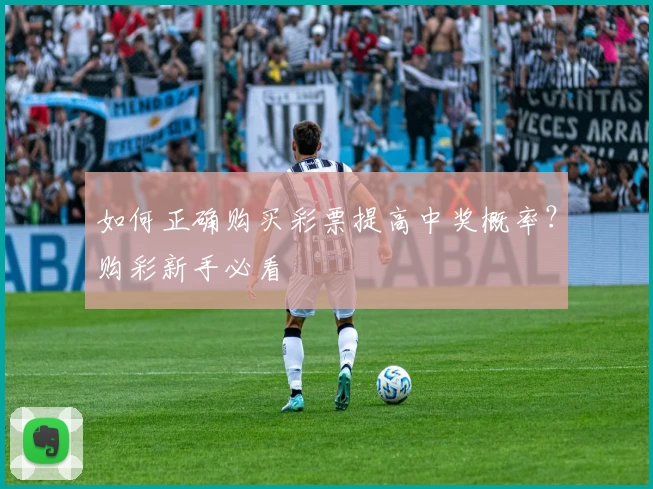 如何正确购买彩票提高中奖概率？购彩新手必看