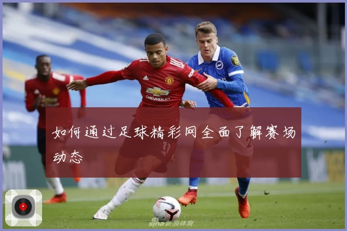 如何通过足球精彩网全面了解赛场动态