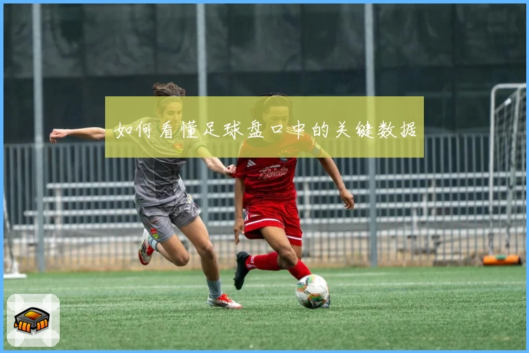 如何看懂足球盘口中的关键数据