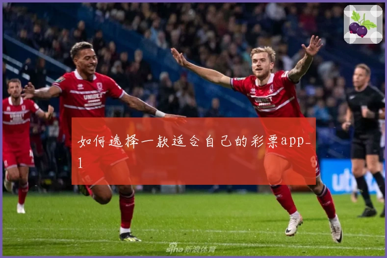 如何选择一款适合自己的彩票app_1