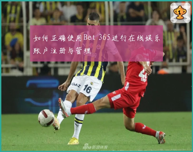 如何正确使用Bet 365进行在线娱乐账户注册与管理
