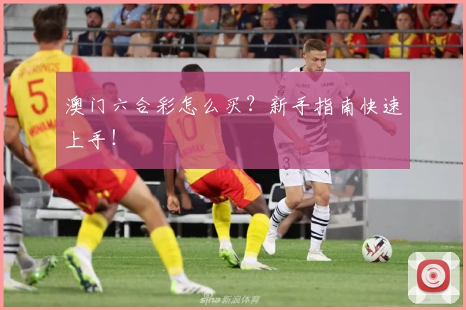 澳门六合彩怎么买?新手指南快速上手!