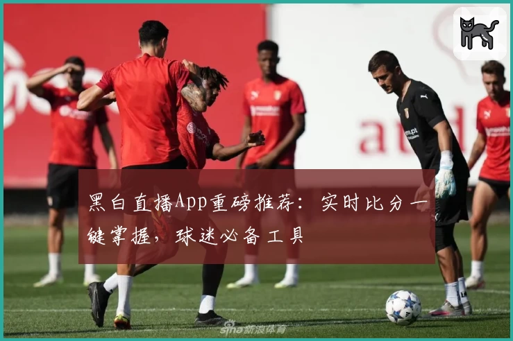 黑白直播App重磅推荐：实时比分一键掌握，球迷必备工具