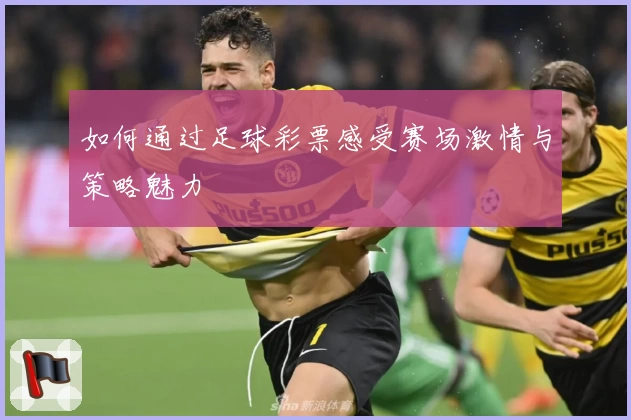 如何通过足球彩票感受赛场激情与策略魅力