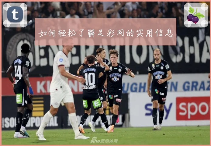 如何轻松了解足彩网的实用信息