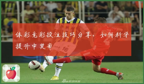 体彩竞彩投注技巧分享，如何科学提升中奖率