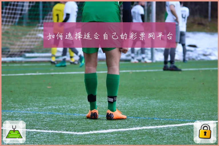 如何选择适合自己的彩票网平台