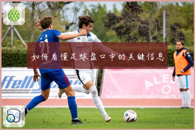 如何看懂足球盘口中的关键信息