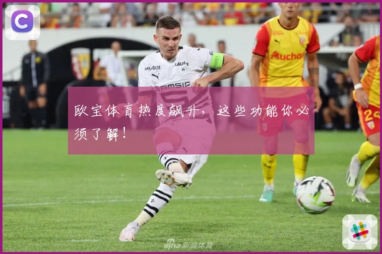 欧宝体育热度飙升，这些功能你必须了解！