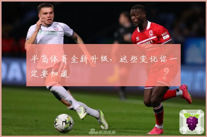半岛体育全新升级，这些变化你一定要知道
