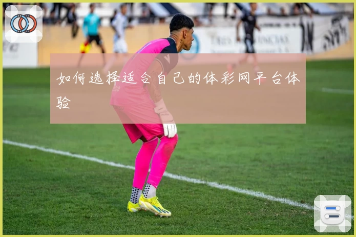 如何选择适合自己的体彩网平台体验