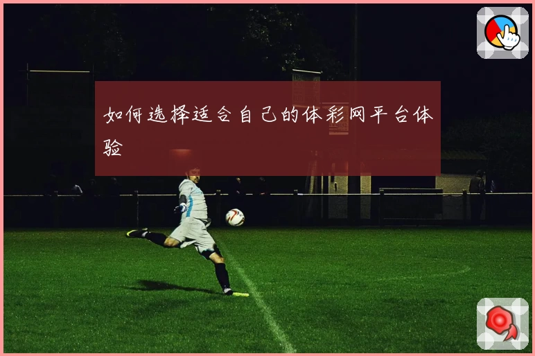 如何选择适合自己的体彩网平台体验