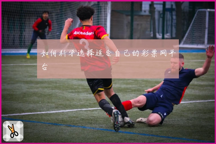 如何科学选择适合自己的彩票网平台