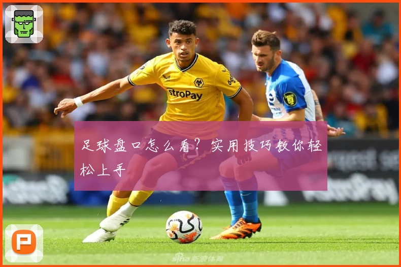 足球盘口怎么看？实用技巧教你轻松上手