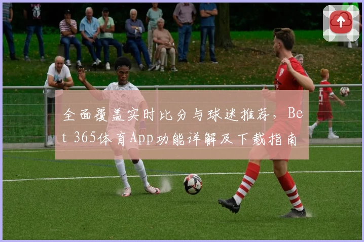 全面覆盖实时比分与球迷推荐，Bet 365体育App功能详解及下载指南