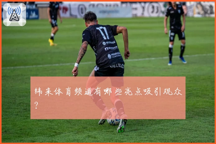 纬来体育频道有哪些亮点吸引观众？