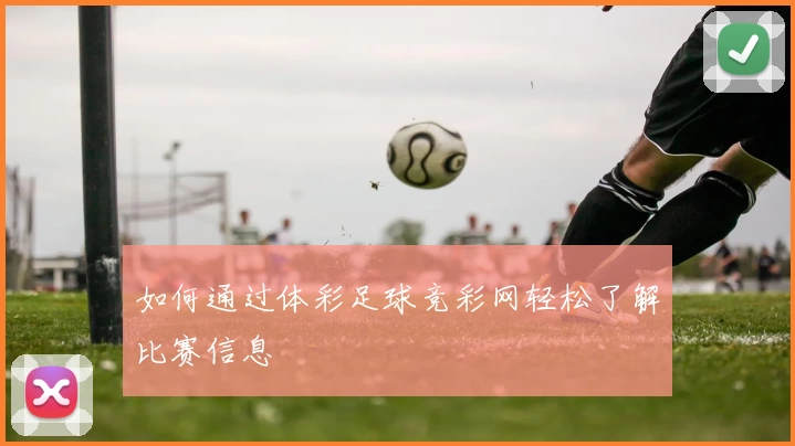 如何通过体彩足球竞彩网轻松了解比赛信息