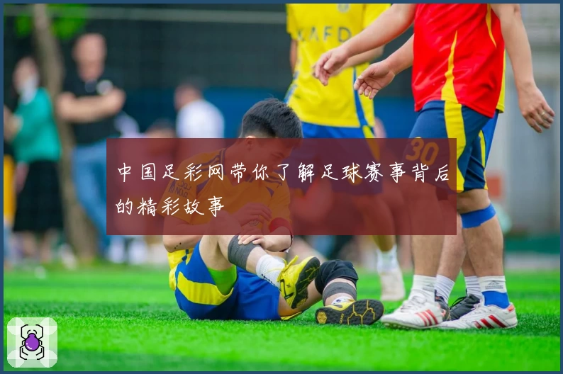 中国足彩网带你了解足球赛事背后的精彩故事