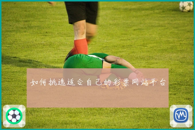 如何挑选适合自己的彩票网站平台