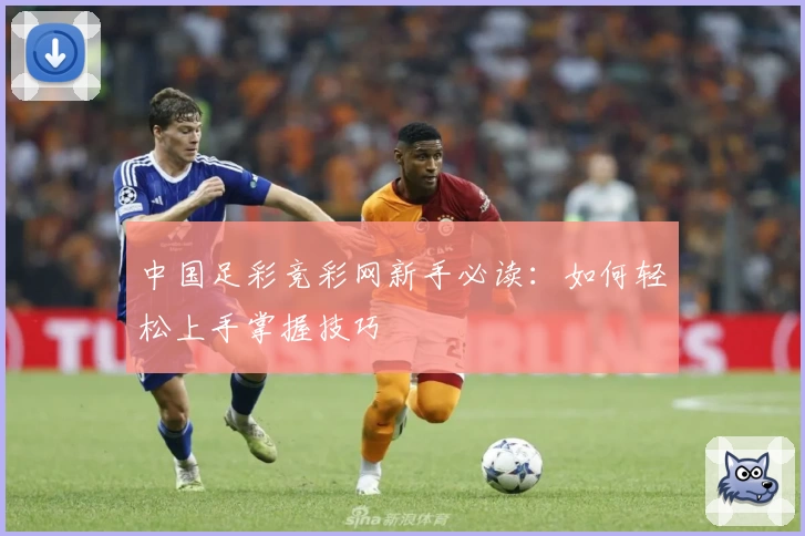 中国足彩竞彩网新手必读：如何轻松上手掌握技巧