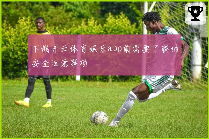 下载开云体育娱乐app前需要了解的安全注意事项