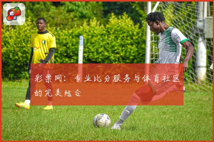 彩票网:专业比分服务与体育社区的完美结合
