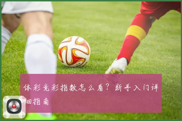 体彩竞彩指数怎么看？新手入门详细指南
