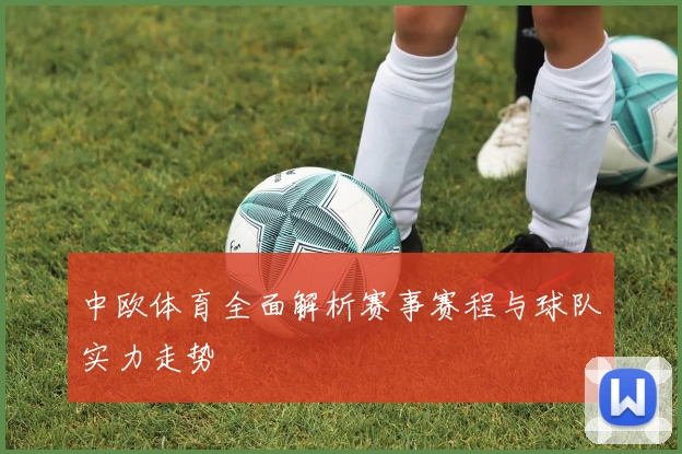中欧体育全面解析赛事赛程与球队实力走势