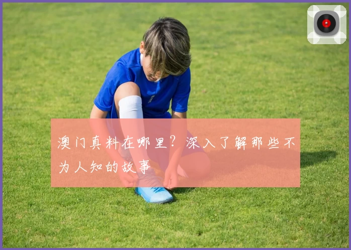 澳门真料在哪里？深入了解那些不为人知的故事