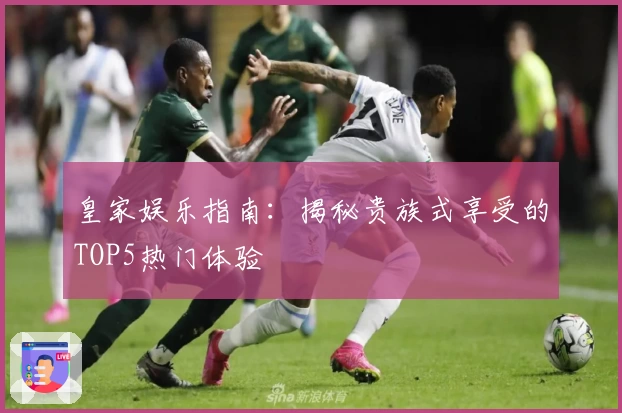 皇家娱乐指南：揭秘贵族式享受的TOP5热门体验