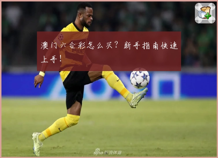 澳门六合彩怎么买?新手指南快速上手!