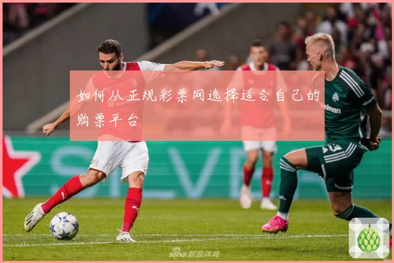 如何从正规彩票网选择适合自己的购票平台
