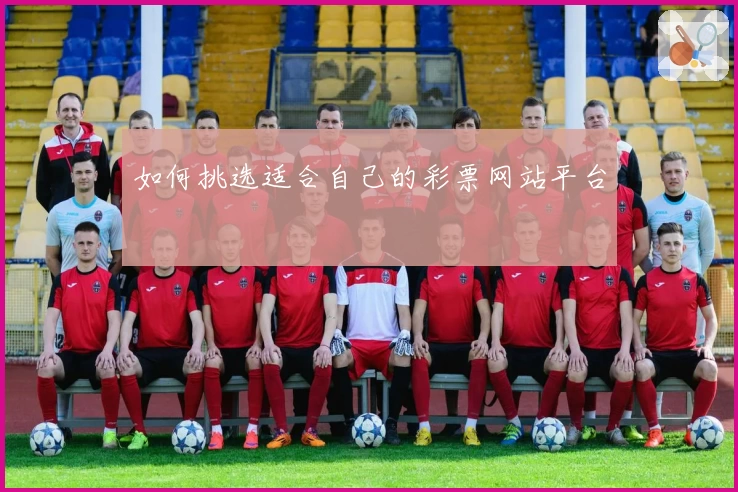 如何挑选适合自己的彩票网站平台
