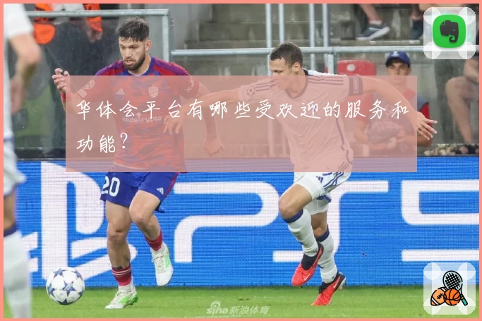 华体会平台有哪些受欢迎的服务和功能?