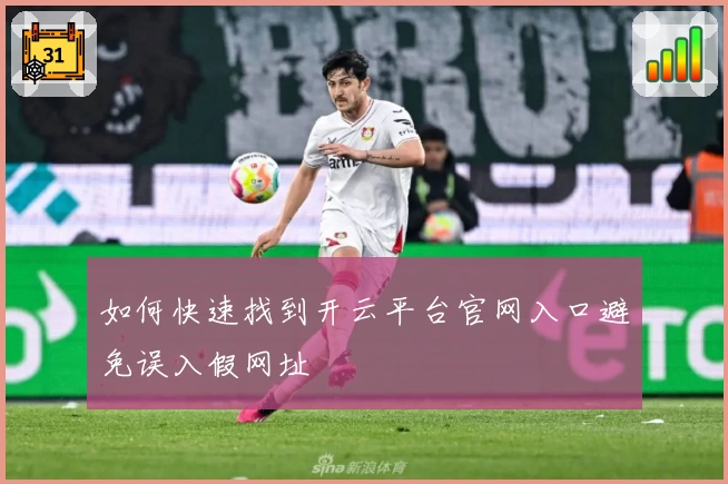 如何快速找到开云平台官网入口避免误入假网址
